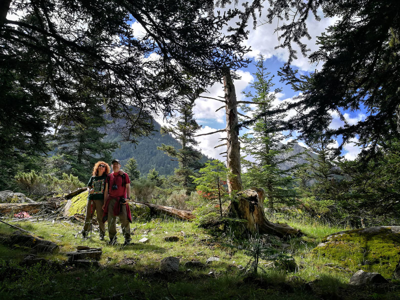 Parella respirant l'aire pur dels boscos d'avets i pi negre del Parc Nacional d'Aigüestortes - Vall de Boí.
