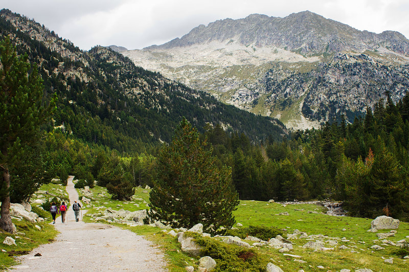 Grup d'amics al caminant cap a l'Estany Llong envoltats pels boscos i les muntanyes del Pirineu de Lleida.